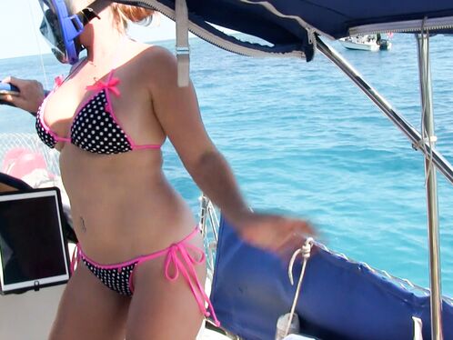 53. Shark Attack!