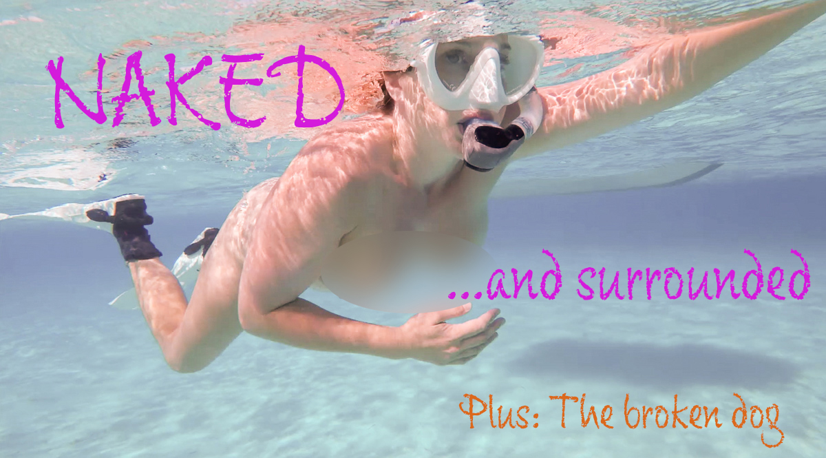 117, Naked and Surrounded