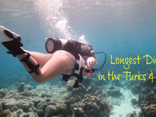 124. Our Longest Dive Yet!