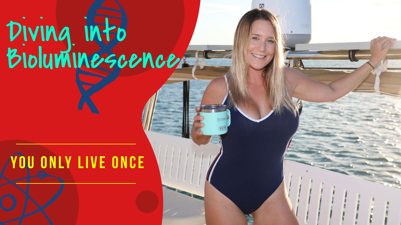 130. Diving Into Bioluminescence!